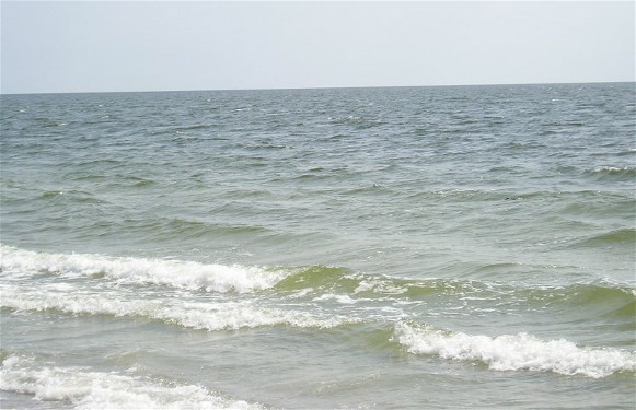 Image - The Black Sea near the Kinburn Spit.